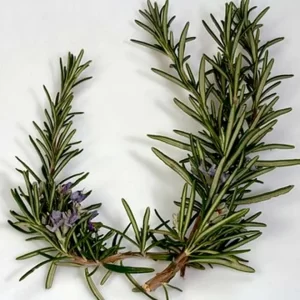 Rosemary.